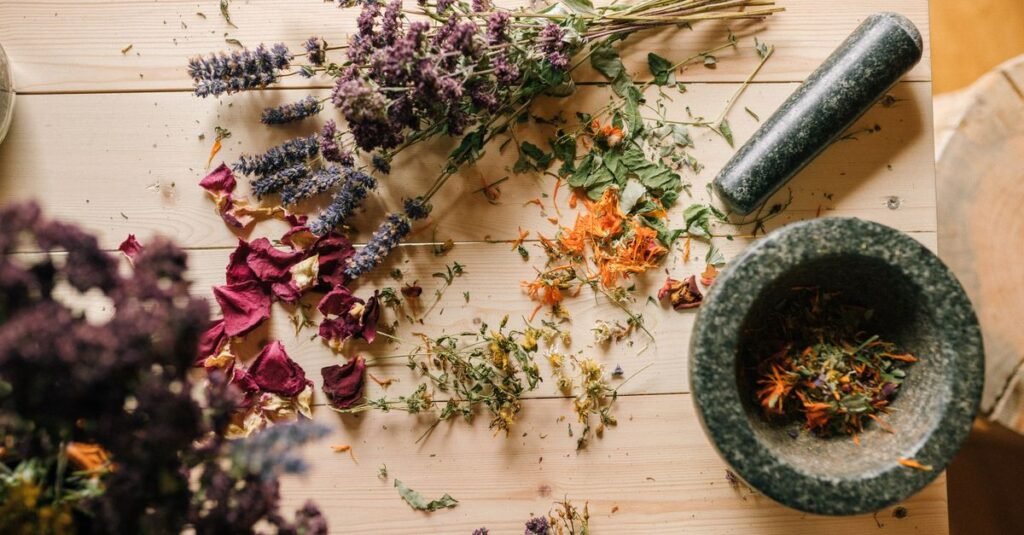 Freshly harvested garden herbs for natural skincare