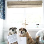 two dogs holding papers recounting a skunk spray